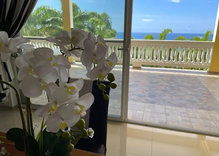 Aparthotel Spring Garden By Mel Montego Bay